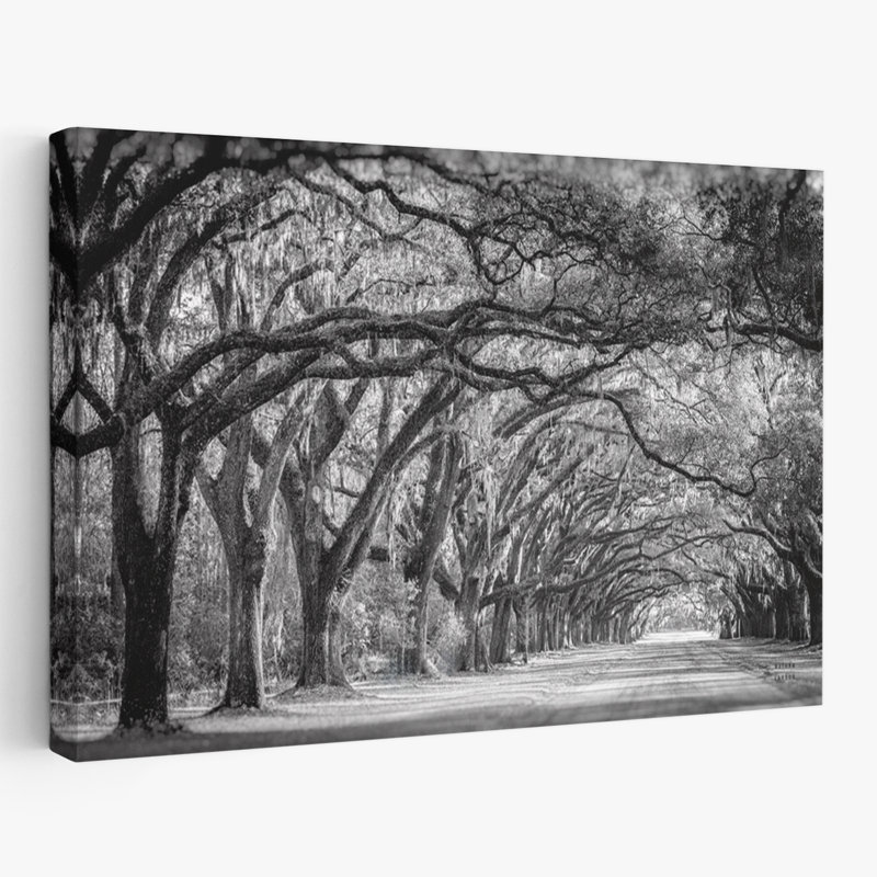 Contemporain et traditionnel Savannah Lane, H 48 po x l 32 po