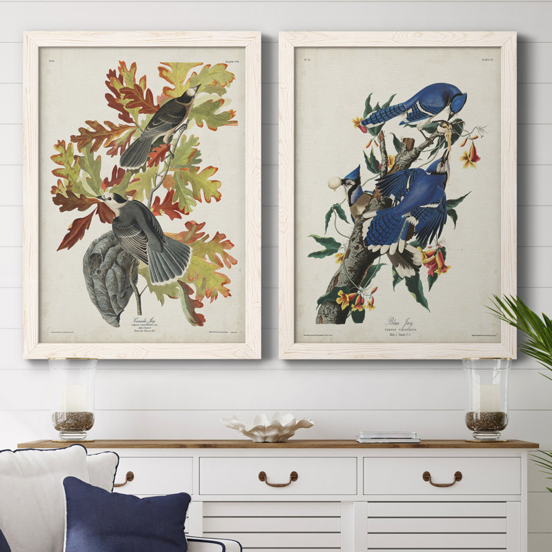 Pl 107 Canada Jay - 2 pièces, reproduction d'art sur toile, Toile blanche encadrée, H 43,5 po x l 31,5 po x P 1 po