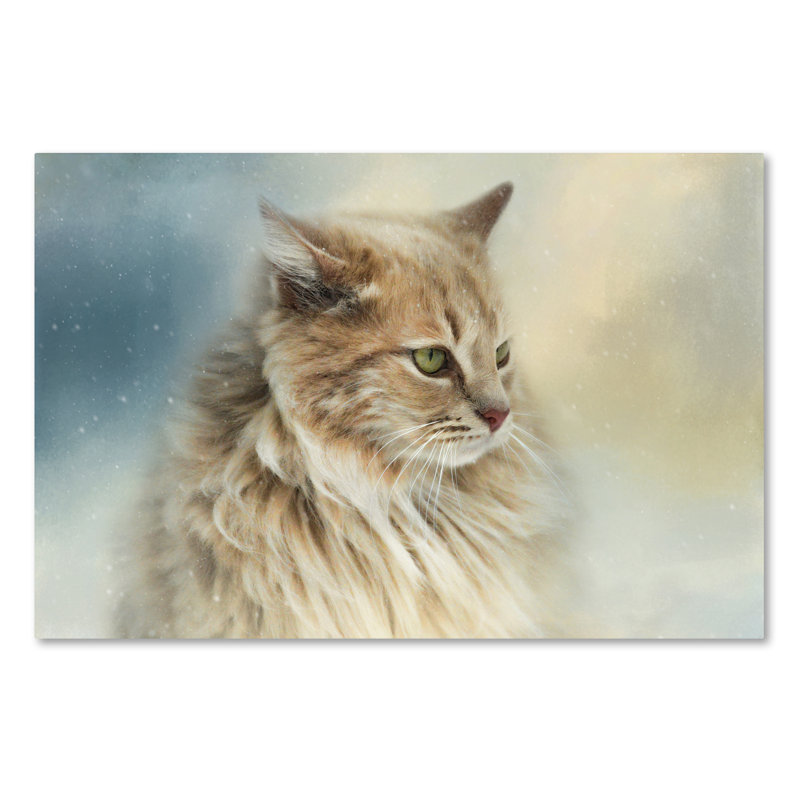 «Vidur« regarder la neige tomber », impression sur toile tendue Vidur, H 12 po x l 19 po