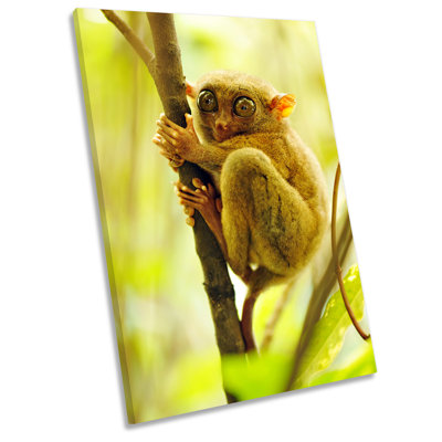 Z1521 Monkey Tree - Wrapped Canvas Print