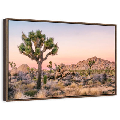 Joshua Tree Patch