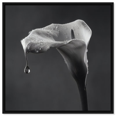 Midnight Rain Print by Oliver Gal