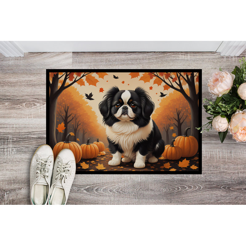 Tapis de porte d'extérieur antidérapant Noncio, L 24 po x L 36 po