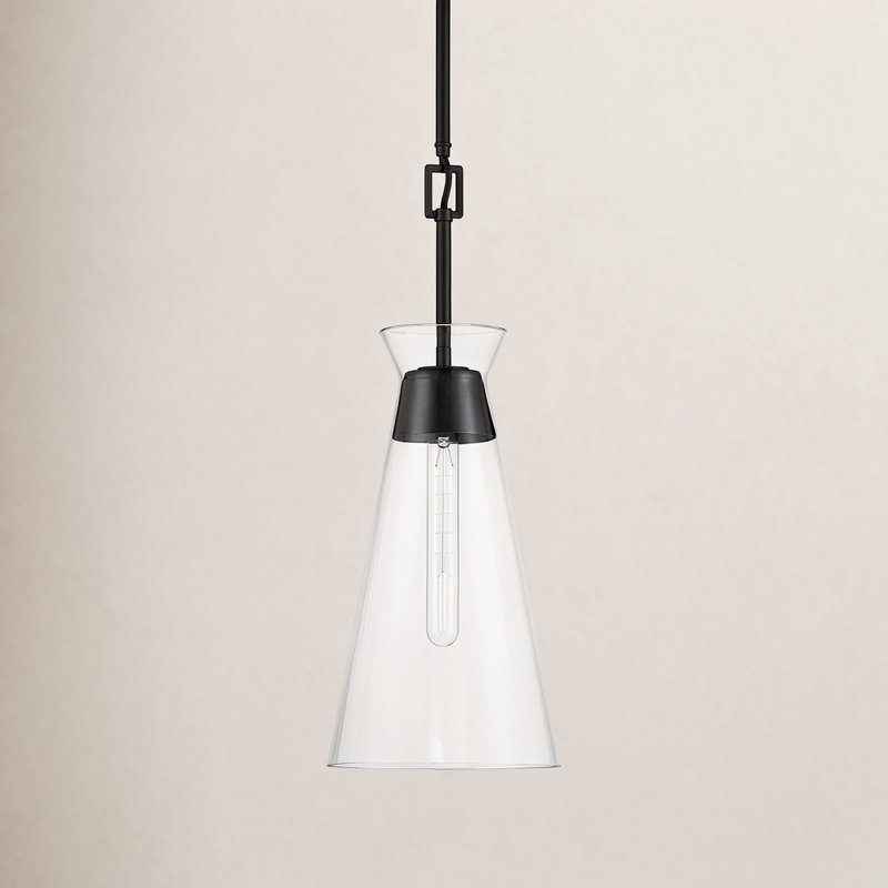 Lakewood 1-Light Pendant in Matte Black, Matte Black