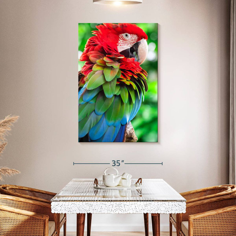 Brampt Green Winged Macaw Parrot, 48" H x 32" W