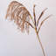 Tall Reed Branch Stem 29" Tall