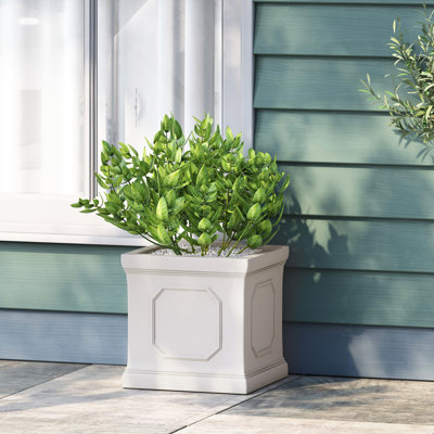 Pot à fleurs blanc antique pour l'extérieur - 10,88 po Profondeur, largeur, hauteur de 10,74 po, verdure de 11,21 lb