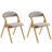 Colstrip Upholstered Padded Stackable Folding Chair Folding Chair Set