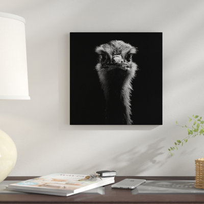 " Ostrich " by Lukas Holas