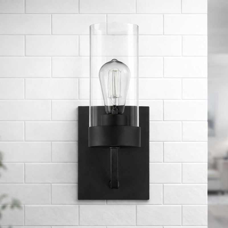 Zephyr  Single Light Armed Sconce Clear Glass with Black Metal Finish