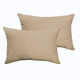 Almeda Indoor/Outdoor Lumbar Throw Pillow