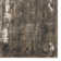 Semahat Abstract Indoor Rug