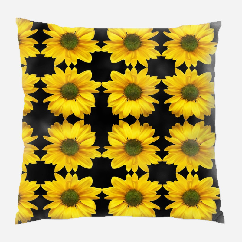 Coussin astronira, Intérieur