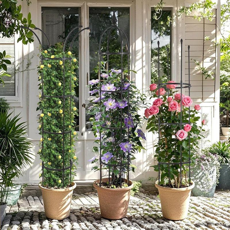 Obélisque treillis pour plantes grimpantes d'extérieur 6,6 pi, tour de jardin ...