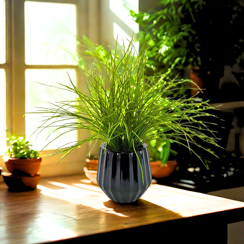 Faux 21" Grass In Black Prism Ceramic