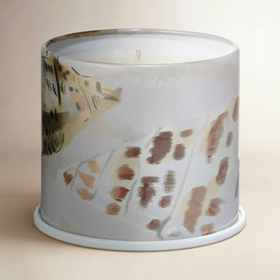 ILLUME Beautifully Done Driftwood Candle