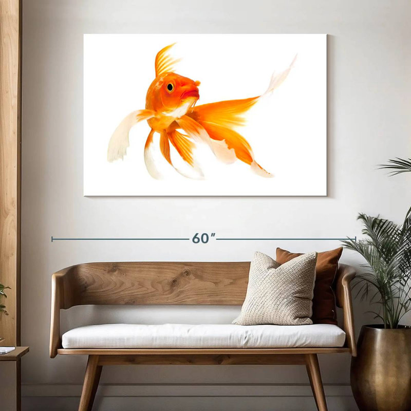 Brampt Goldfish, H 32 po x l 48 po