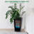 Set of 2 Planter Pots with Drainage Holes＆Water Level Monitor＆Inner Bucket, Automatic Watering-1045863403-1045863400