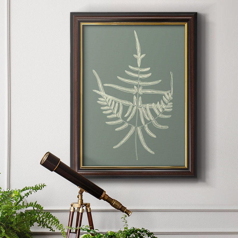 Ferns On Sage I " Ferns On Sage I ", 20" H x 16" W x 2.5" D