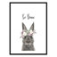 Le lapin est courage-48187568-48187588