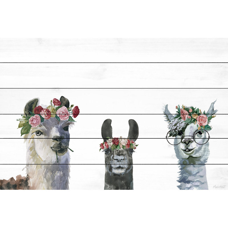 Impression de lamas couronnés de fleurs de margarita sur bois blanc, H 40 po x l 60 po x P 1,5 po