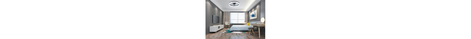 Ceiling Fan with LED Lights