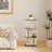 Vinicia Bookcase, 3 Tier Display Case, Bookshelf, Floor Standing Bookcase, Display Cabinet