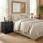 Blaklee 2-Drawer Solid and Manufactured Wood Nightstand (Set of 2)-99917927