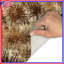Tapis de bain brun-1300216132