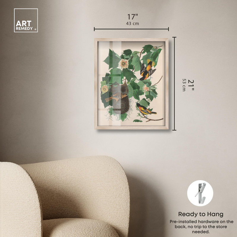 «Three Orioles Shadowbox Print» par Art Remedy, H 21 po x l 17 po, Crème, crème