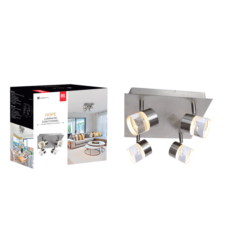Projecteur directionnel 4 lumières DEL 10,2 po 4 lumières