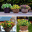 Arrangement