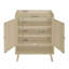 Range-chaussures 2 portes