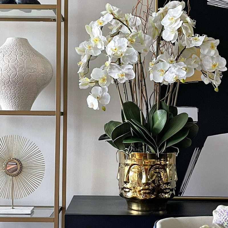 Orchid Floral Arrangement in Vase