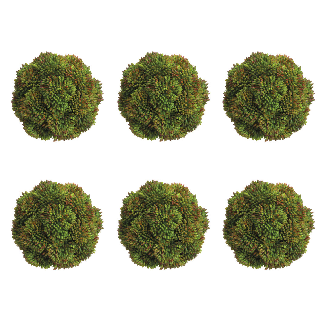 Decorative Sedum Balls (Set of 6) Primrue Flower 