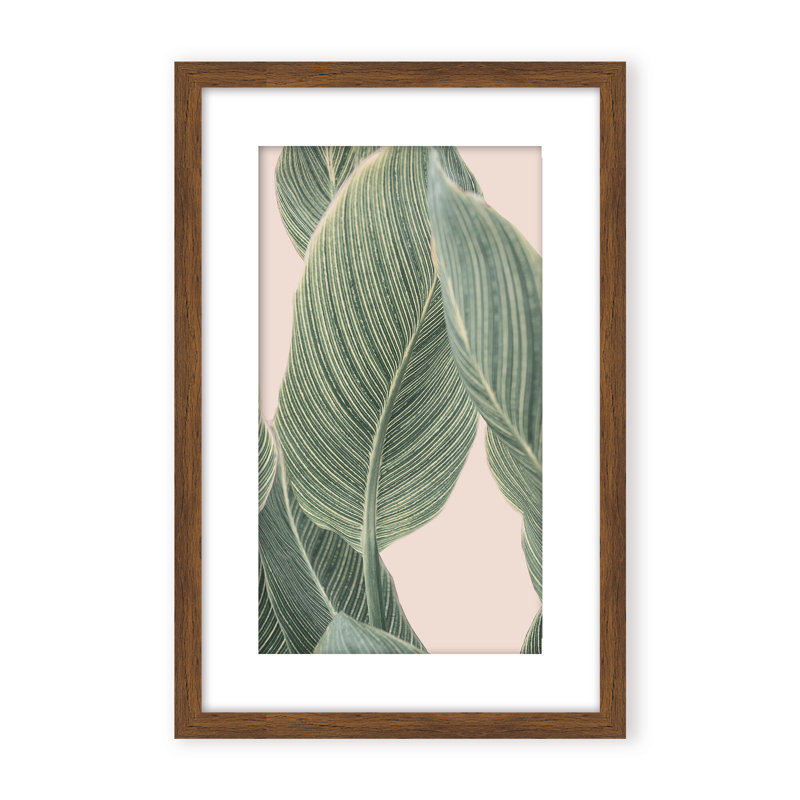 Coastal Retreat Calla Leaf by  - Picture Frame Graphic Art on Paper, 48" H x 32" W x 1.125" D, Framed Matted Print, Beige