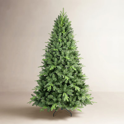 Spruce Christmas Tree