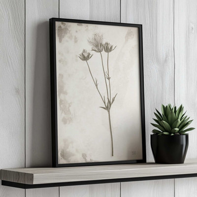Wildflower Journal Vintage VIII by Nathan Larson Art Print