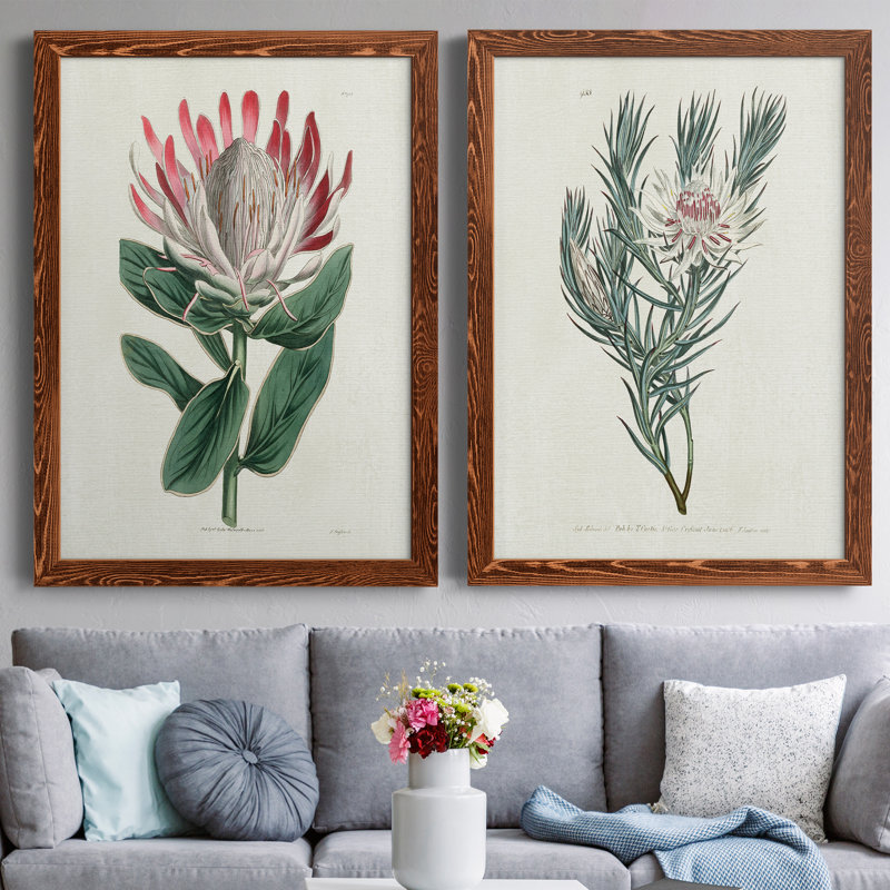 Protea N13 - Ensemble de 2 peintures sur toiles encadrées, H 44 po x l 31 po x P 1 po, Cadre en érable
