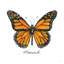 Monarque - Peinture-416073190-428676921-428676923