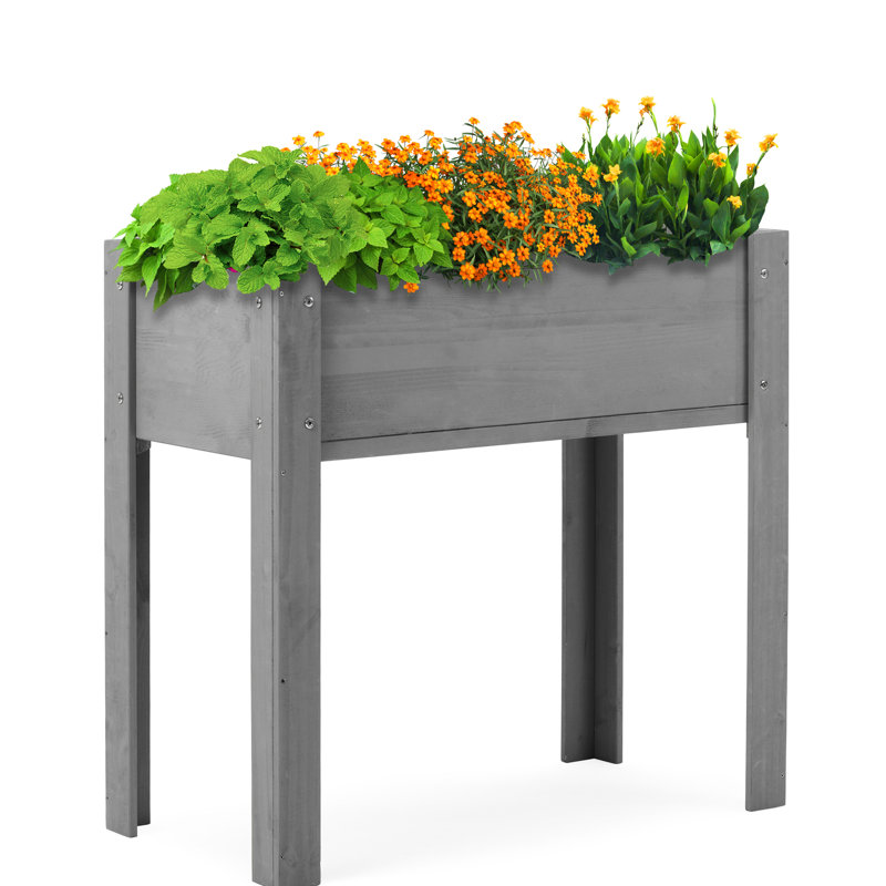 31X31x16 Inch Elevated Wooden Planter With Legs, Outdoor Garden Box For Plants, Flowers, Fruits, Veggies, Herbs - Gorgeous Look Raised Bed Legs Inch, Vegetables, Stable Structure