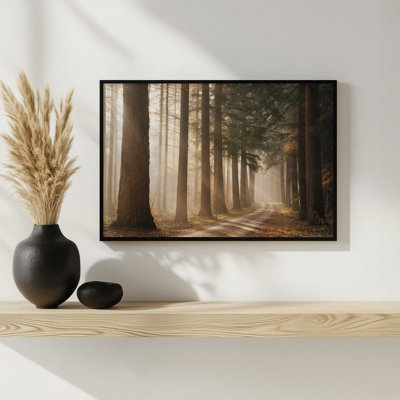 «Morning Sun Beam» par Martin Podt, reproduction d'art