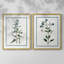 Impression encadrée Shabby Elegance Botanical I-Premium - prête à être accrochée - aucun clou requis - aucun clou requis-928298536-928298537