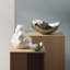 Bloom Fruit Bowl-59885246