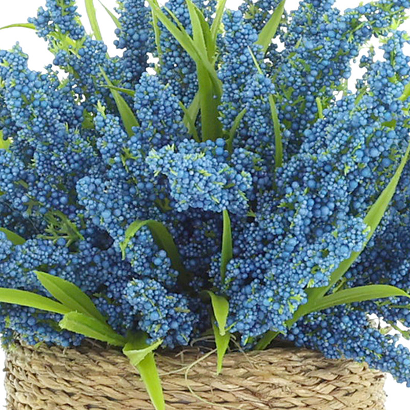 Heather dans un pot de paille, Bleu