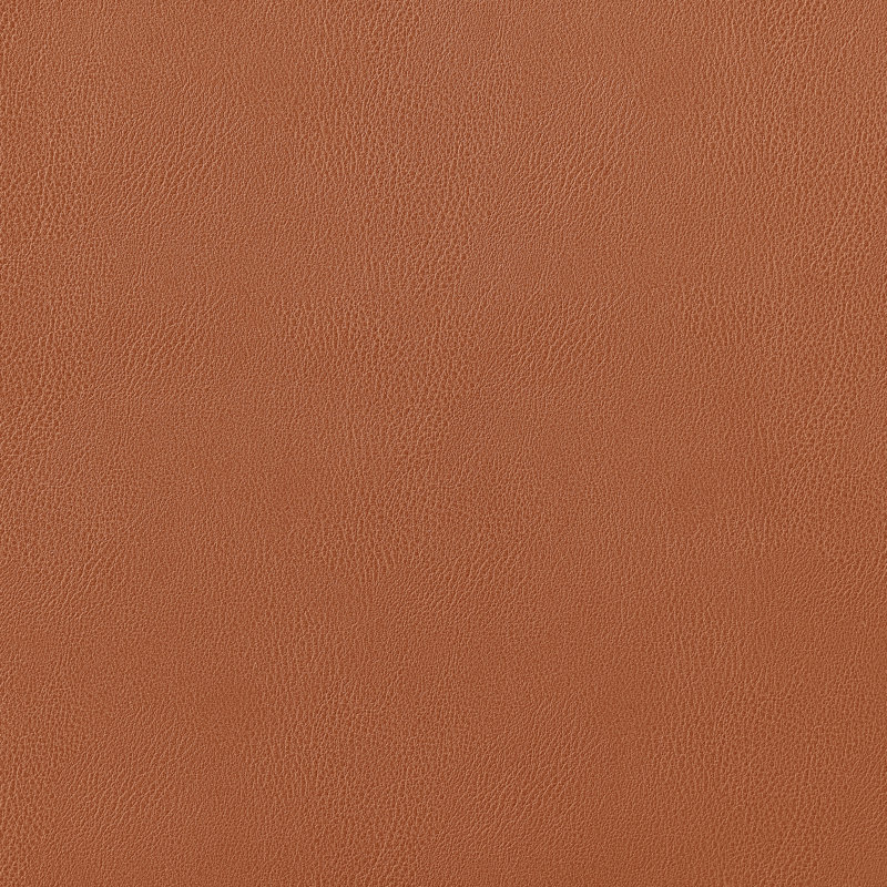 Chaise en cuir Ambra, Similicuir brun foncé / structure en noyer, 2