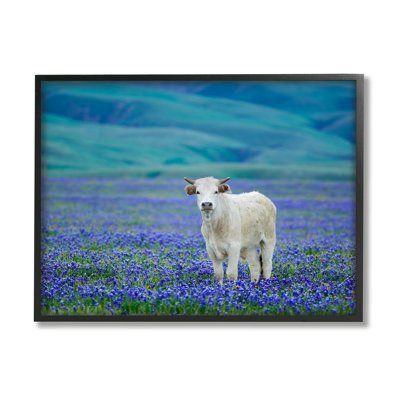 " White Cattle Lavender Field " by Dennis Frates