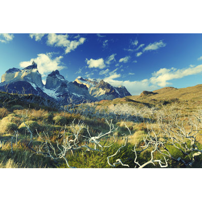 Torres Del Paine by Pawel Gaul