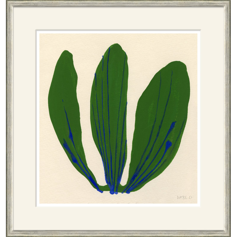 Cabbage Giclee Print by Susan Hable