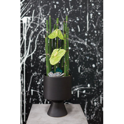 Patricia Handmade Ceramic Pot Planter